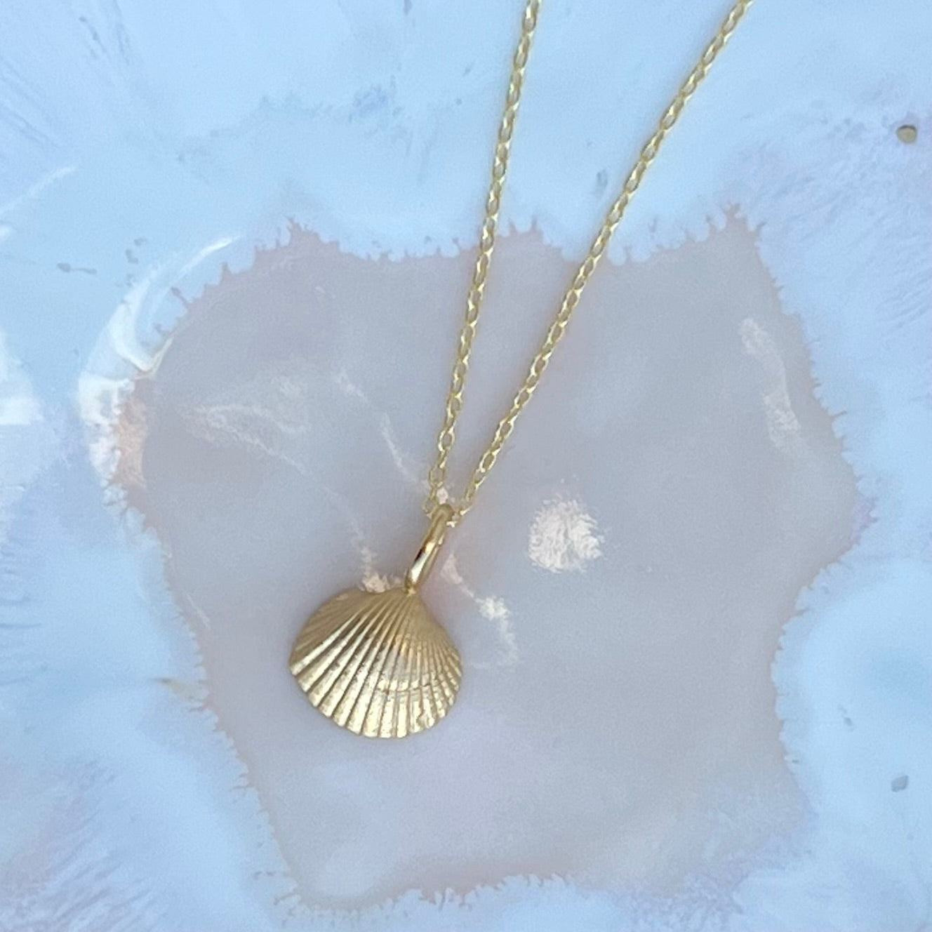 Mini on sale seashell necklace